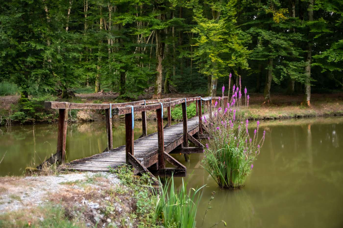 Nature Attractions